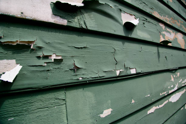 How To Choose The Right Materials for Your Siding Installation in 'Newtown Grant, PA